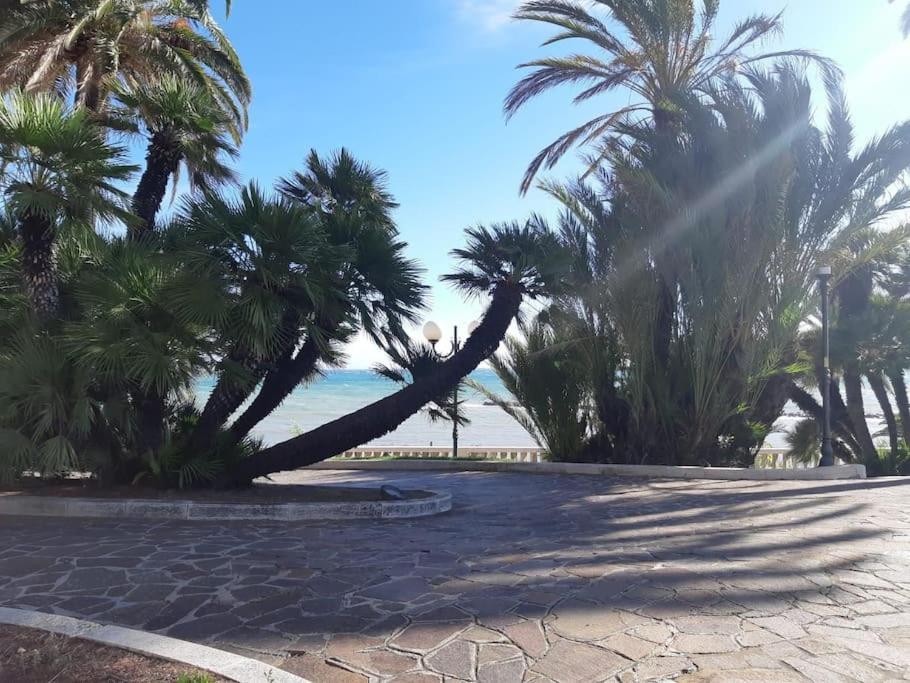 La Casa De Grace Lägenhet Sanremo Exteriör bild
